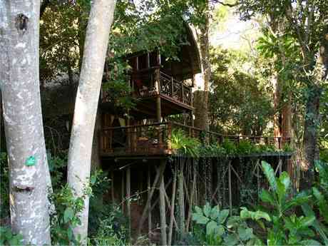 Serenity Forest Eco Reserve